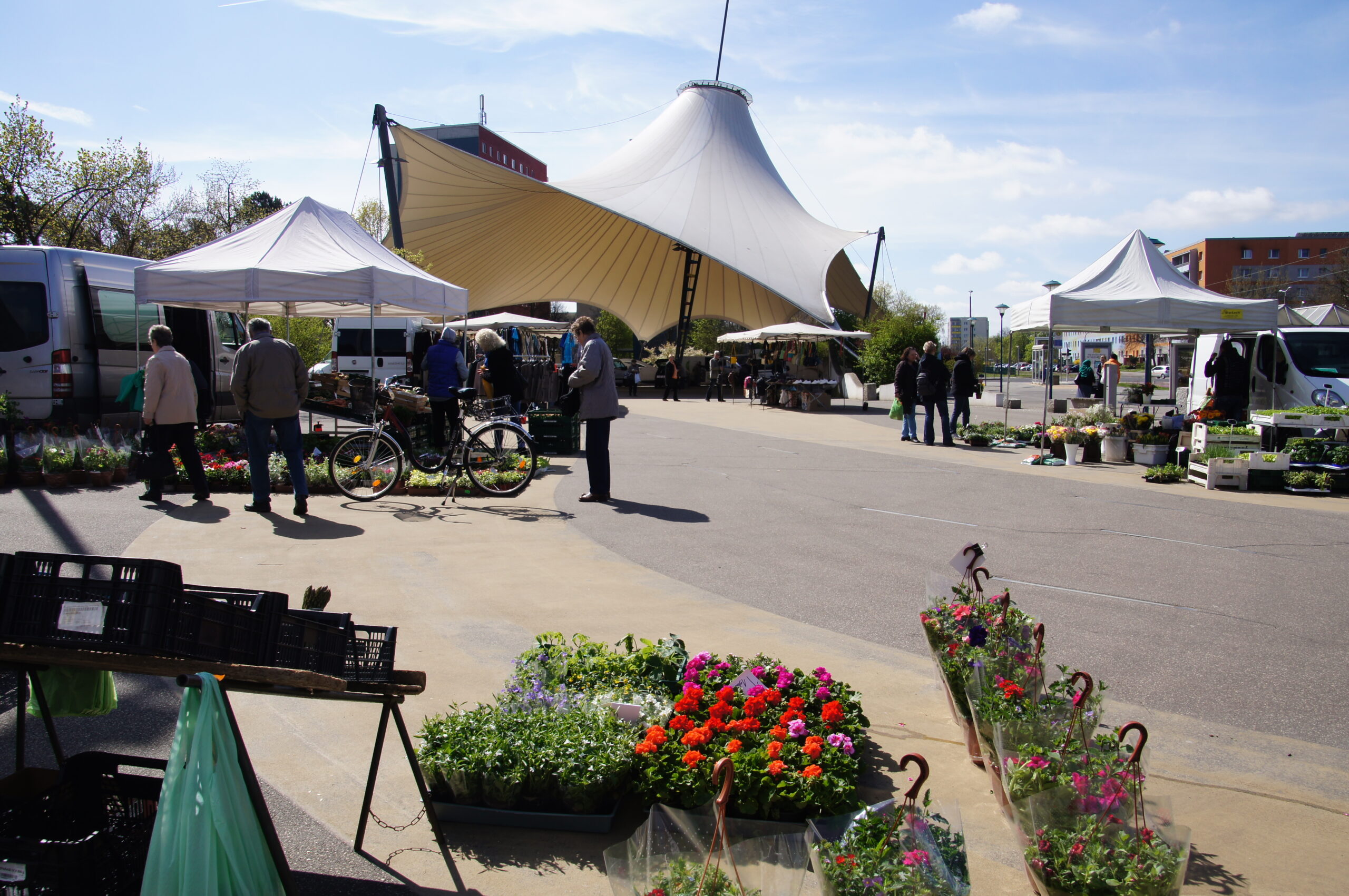 Wochenmarkt in Sachsendorf