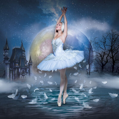 Schwanensee mit Orchester